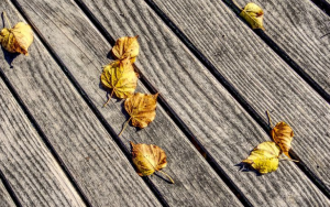 wood deck